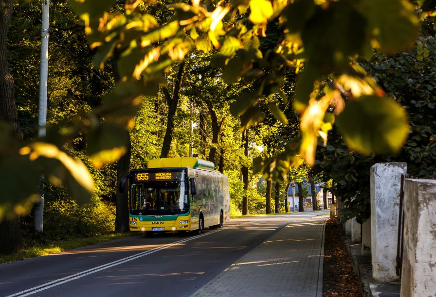 Graphics: Every 4th stop in Mikołów will change its name