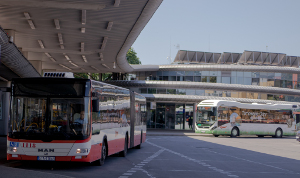 Gablota reklamowa ZTM Zdjęcie przedstawiające gablotę reklamową ZTM