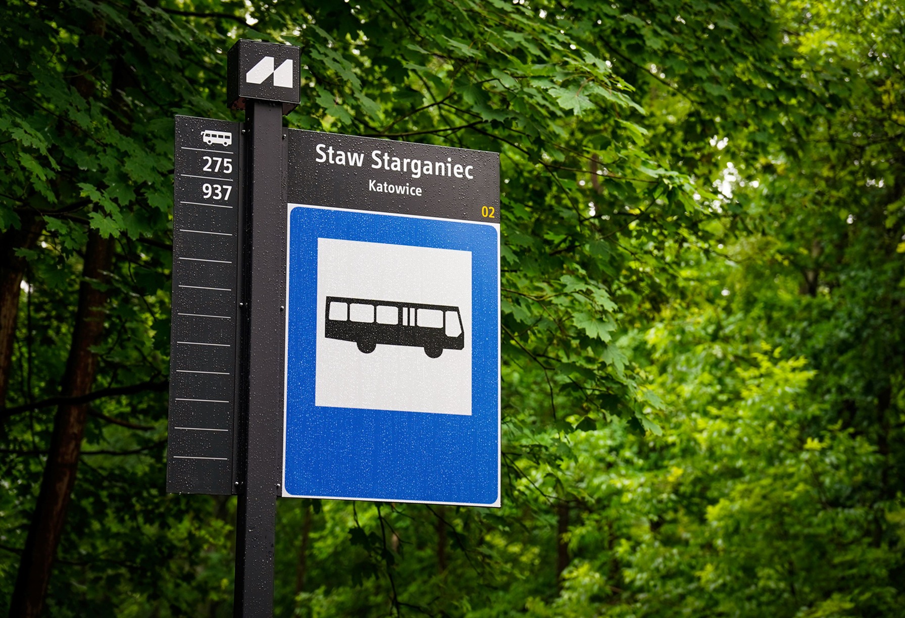Graphics: Latem – autobusem nad wodę